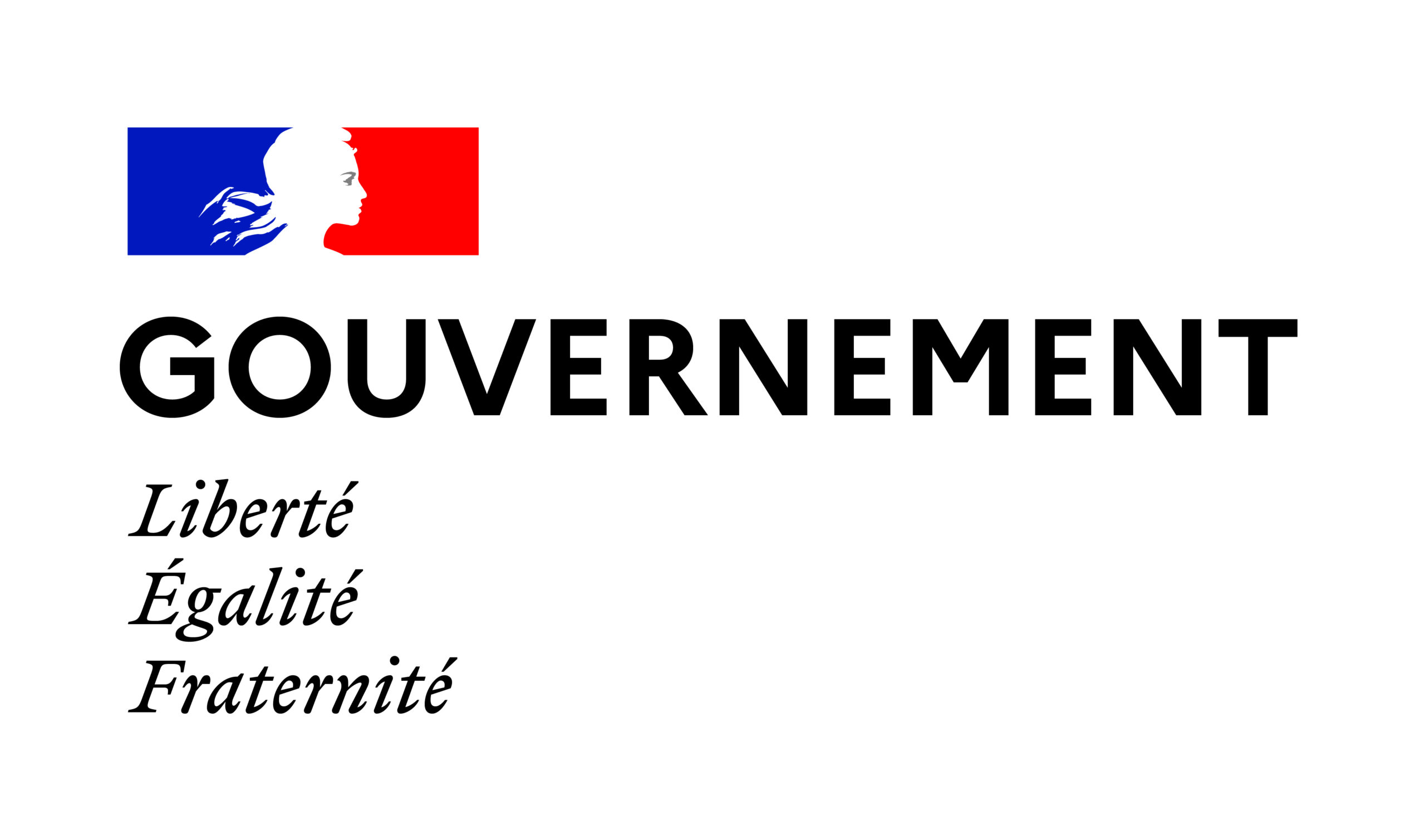 gouvernement_cmjn_0