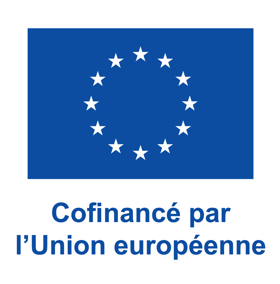 FR V Cofinancé par l’Union européenne_PANTONE